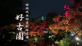 好古園 紅葉夜景