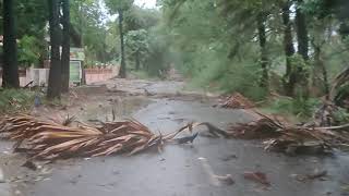 Tauktae cyclone live seen on bike Diu Vanakbara road