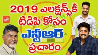 Jr NTR Ready to Campaign For TDP - AP CM Chandrababu Naidu - 2019 Elections #AndhraPradesh | YOYO TV