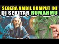 Ijasah Ilmu 🔴 SUNGGUH TAK RUGI,SEGERA AMBIL DAN CARI RUMPUT KERAMAT INI!