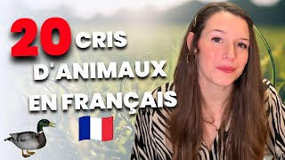 20 cris d'animaux en français 🦁🐸 #frenchanimalsounds