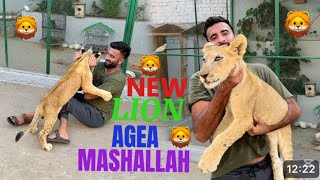 HAMARA NEW LION AGEA BUHAT PIARA🥰