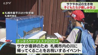 カムバックサーモン！　「さっぽろサケフェスタ」　産卵のため戻ってきたサケ　子どもたちが生態学ぶ