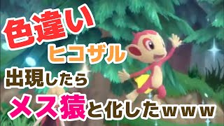 【神回】色違いヒコザル出てきたらメス猿になったwww【ポケモンBDSP】