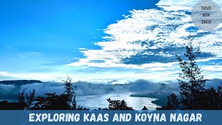 Exploring Kaas and Koyna Nagar in Maharashtra