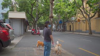 4K China，Shanghai Walk，漫步上海，太原路，2020/5/21