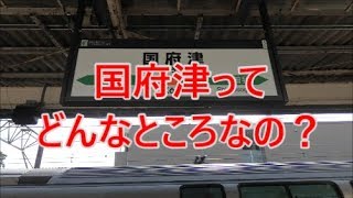 よくある行先「国府津」ってどんなところなのかレポートします！