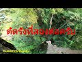 ทีมล่าผึ้งหลวง ep.13 คอนนี้เมื่อปีกลาย 5000000 view phanboon...