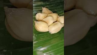 Jackfruit of assam🤤🤤so sweet #jackfruit #assam #youtubeshorts