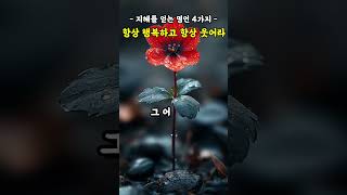 항상 행복하고 항상 웃어라 | 지혜를 얻는 명언 4가지