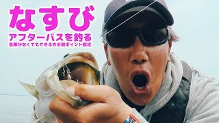 【琵琶湖】なすび、アフターバスを釣る　魚探がなくてもできるお手軽ポイント限定　中谷翔一