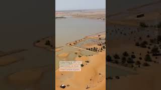 Sahara Desert Flooded: A Rare Warning About Climate Change