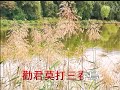 義空法師《放生素食歌》