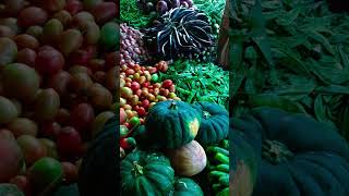 শীতের তাজা সবজি #freshvegetables #haluaghat #mymensingh #winter #bazar #hat #বাজার #হাট #শীতকাল