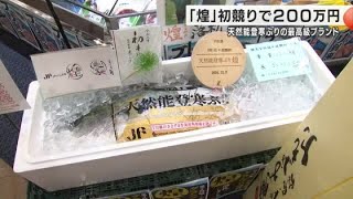 天然能登寒ぶりの最高級ブランド『煌』初競りで200万円 スーパー「どんたく」が競り落とし刺身で販売へ (2024年12月2日)