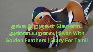 தங்க இறகுகள் கொண்ட அன்னப்பறவை | Swan With Golden Feathers | Story For Tamil