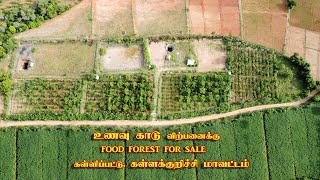 உணவுக்காடு விற்பனைக்கு 🌲  Ready to move Food forest | பழ காடு விற்பனைக்கு @Kallakurichi