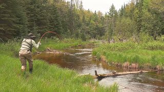 Fishing the Fishdam River, Michigan U.P. East