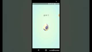 【ポケモンGO】10キロタマゴキター‼️