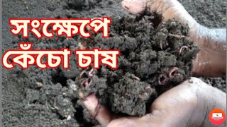 How to make vermicompost||সংক্ষেপে কেঁচো সার তৈরির পদ্ধতি||