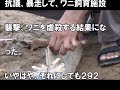 ワニ大量虐殺　２９２匹も　インドネシア