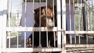 Весна в дубоссарском зоопарке