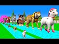 Paint & Animals Cow,Lion,Elephant,Sheep,Zebra,Elephant, Fountain Crossing Transformation Cartoon