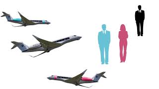 APPLICATION - Why Do CEOs Get Paid So Much?