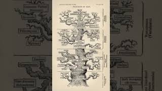 Bionanoscience | Wikipedia audio article
