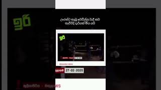 ඌරන්ට තැබූ වෙඩිල්ල වැදී නව හැවිරිදි දැරියක් මිය යයි . #news#breakingnews#today#foryou