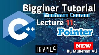 C++ Lecture 11: Pointers | by Mukerem Ali (2025)