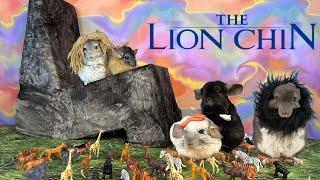 The Lion King in 3 Minutes, by 5 Chinchillas