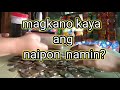 Ang naipon naming mga coins sa isang buwan at kalahati#moneysavings