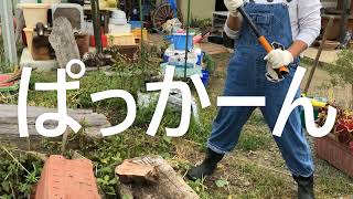 室長はじめての薪割り体験