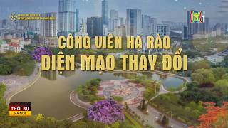 Công viên hạ rào, diện mạo thay đổi | Tin tức