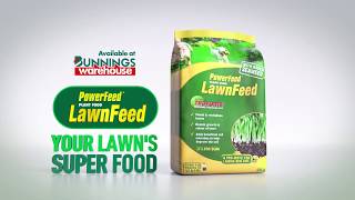 Seasol PowerFeed LawnFeed TV Commercial 2019