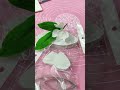 দোলনচাঁপা ফুল বানানোর টিউটোরিয়াল white ginger lily gumpaste flower tutorial