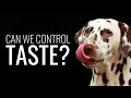 Can We Control Taste?