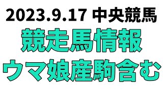 【ローズS】中央競馬情報 2023年9月17日【ウマ娘産駒】