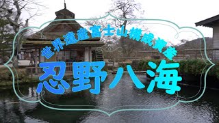 山梨【世界遺産富士山の構成資産】忍野八海　World Heritage Mt. Fuji