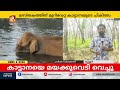 മസ്തകത്തിന് മുറിവേറ്റ നിലയിൽ കണ്ടെത്തിയ കാട്ടാന കാണാമറയത്ത് athirapilly elephant