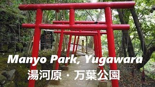 #205 Manyo Park, Yugawara　湯河原・万葉公園