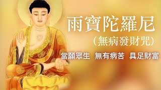 【雨寶陀羅尼-佛曲】 當願眾生，無有病苦，具足財富