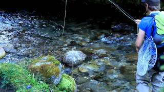 Fliegenfischen an der Taurach/ Fly Fishing River Taurach.wmv