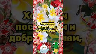 27 февраля Международный День оптимиста💗Красивая музыкальная открытка