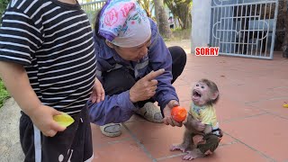 Monkey David steals fruit and gets angry with the baby