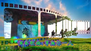 雷射音效~台語金曲演奏~4~CD共11首