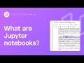 What are Jupyter Notebooks? (AI Programming with Python)