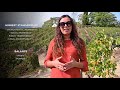 the essentials ep 7 sustainable viticulture in the douro