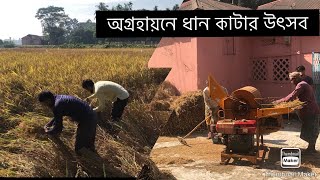 ধান কাটার উৎসব!! নবান্ন উৎসব!! Village life!!Rice harvesting!!